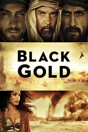 Black Gold (Day of the Falcon) ล่าขุมทองดับตะวัน (2011)