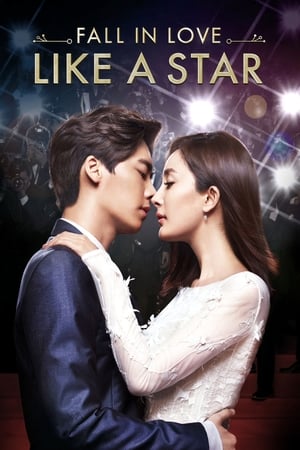 Fall in Love Like a Star รักหมดใจนายซุปตาร์ (2015) บรรยายไทย