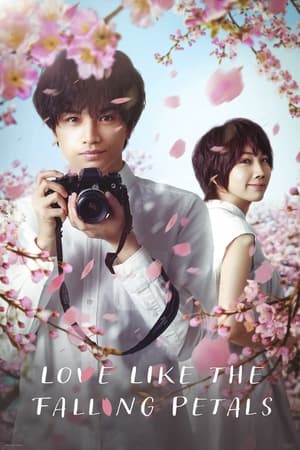 Love Like the Falling Petals (2022) ใบไม้ผลิที่ไม่มีเธอเป็นซากุระ พากย์ไทย