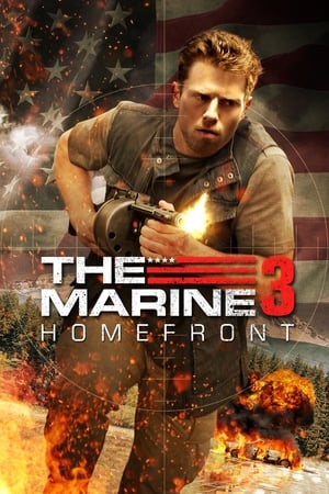 The Marine 3 Homefront (2013) คนคลั่งล่าทะลุสุดขีดนรก