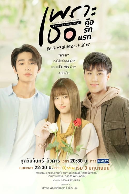 A Love So Beautiful เพราะเธอคือรักแรก (2024)