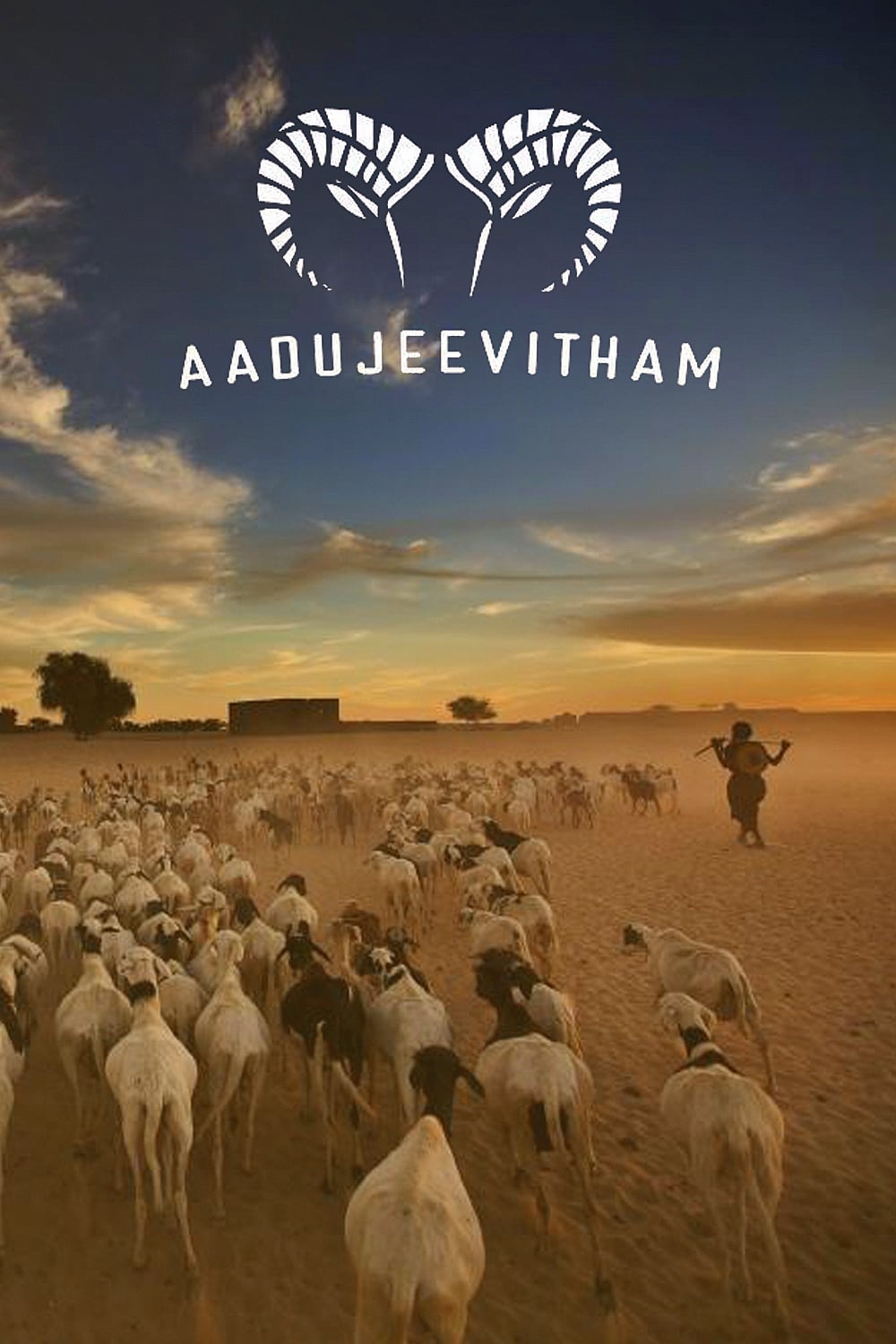 ആടുജീവിതം Aadujeevitham: คนเลี้ยงแพะ