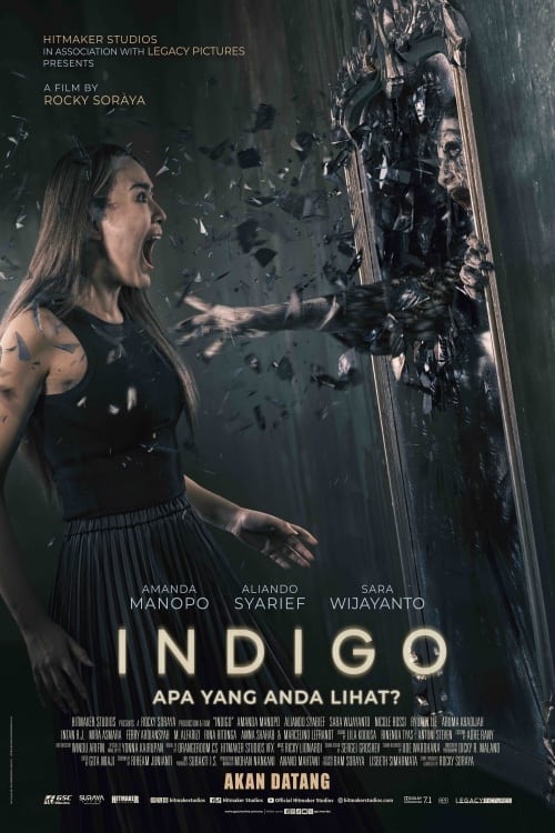 Indigo Indigo: เธอเห็นอะไร