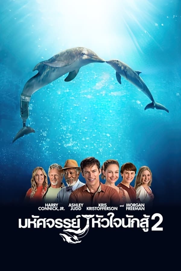 Dolphin Tale 2 มหัศจรรย์โลมาหัวใจนักสู้ 2