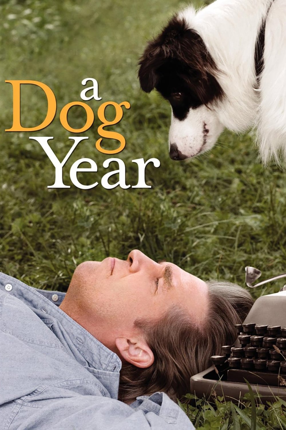 A Dog Year A Dog Year