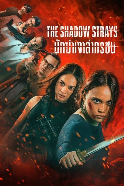 The Shadow Strays นักฆ่าเงาล่าทรชน